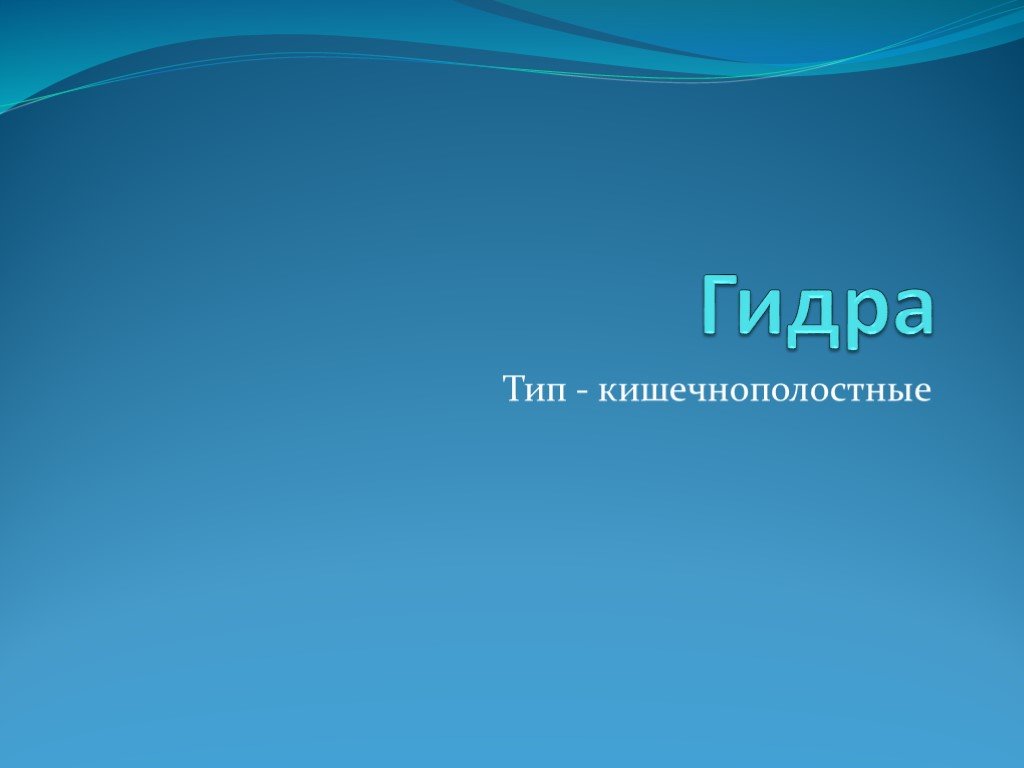 Официальный сайт даркнета