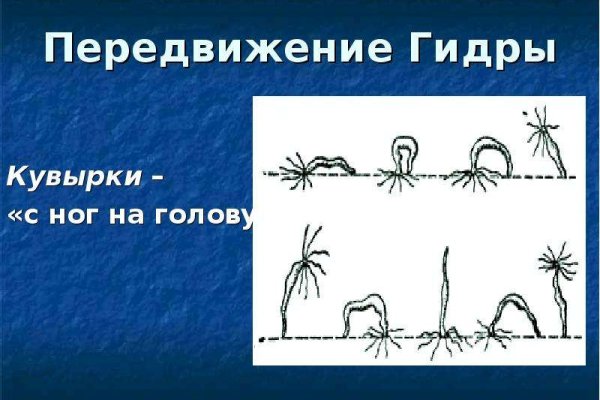 Kraken https что это