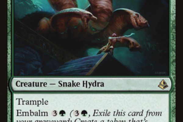 Kraken 19 at