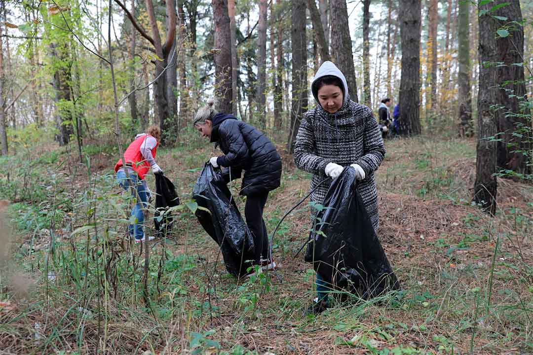 Кракен маркетплейс купить порошок